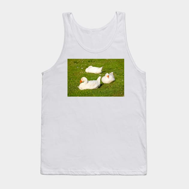 geese Tank Top by Kruegerfoto